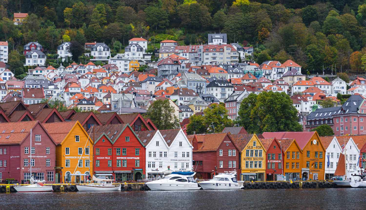 Things to do in Bergen - Bryggen Unesco Site