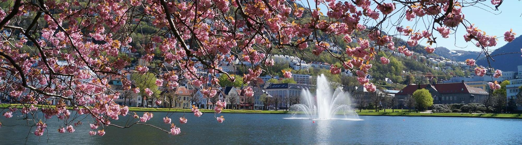 Planen Sie ein umweltfreundliches Event in Bergen