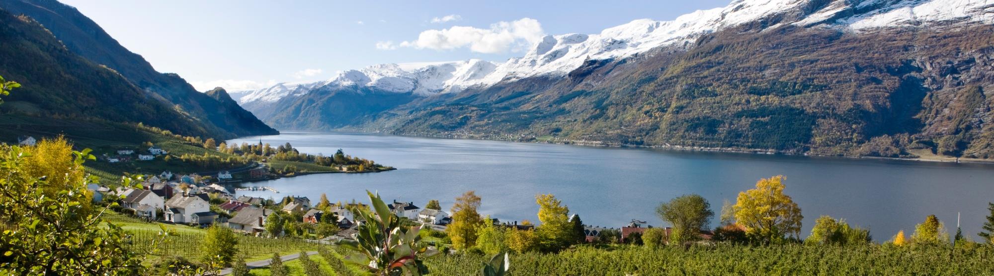 Hardangerfjord