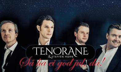 Tenorane og Steffen Horn – Så ha ei god jul, då!
