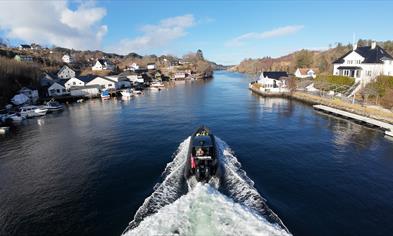 1-hour fjord safari in a RIB-boat to Alverstraumen