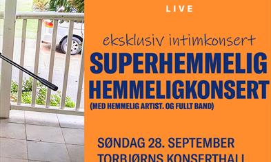 Hemmelig konsert med hemmelig band | Torbjørns Konserthall | Dust of Daylight Live