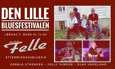 DEN LILLE BLUESFESTIVALEN