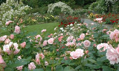 The arboretum and botanical garden