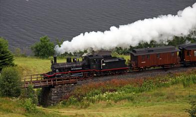 Gamle Vossebanen - veterantog med Damplokomotiv - 31. August 2025