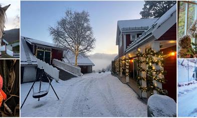 JULEGÅRDSBESØK, lørdag 27. desember kl. 14.00 - 16.00