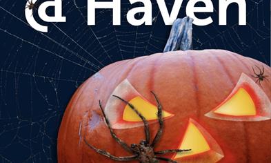 BISO X REDERIET HALLOWEEN FEST