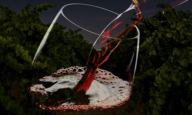 Douro, Bairrada og Dão -fra elegante fjellviner til ikoniske portviner