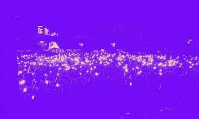 DJ KAT THE KAT-A-LYST