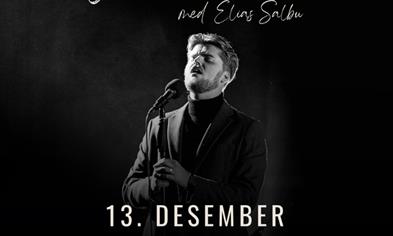 Christmas concert with Elias Salbu
