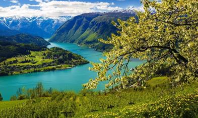 A view of the Hardangerfjord