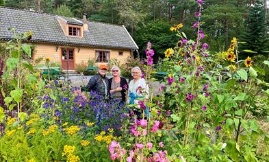 The arboretum and Bergen botanical garden