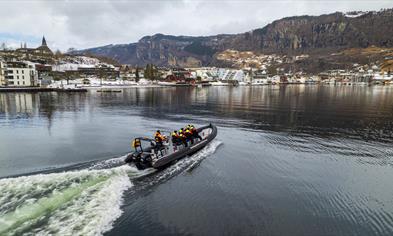 Fjord safari on the Hardangerfjord in a fast paced RIB-boat