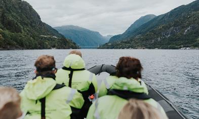 Fjord safari on the Hardangerfjord in a fast paced RIB-boat