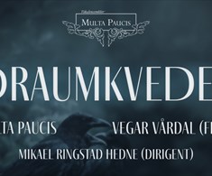 Multa Paucis: Draumkvedet