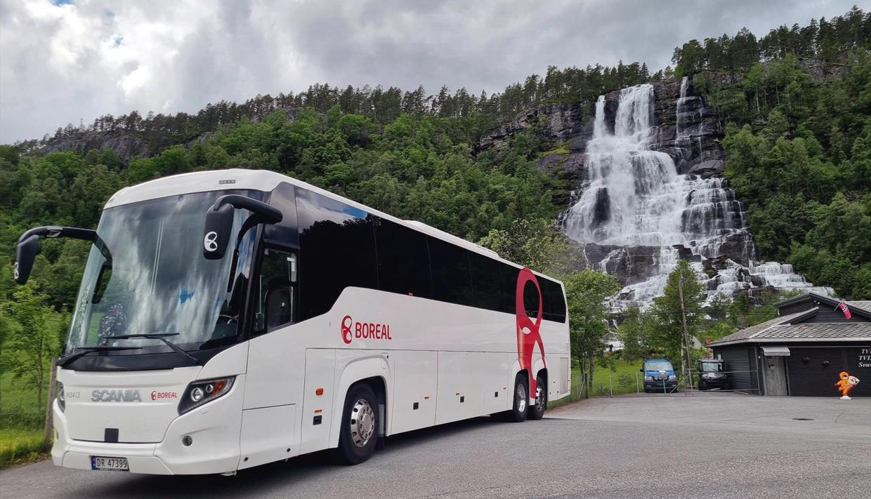 Boreal Travel