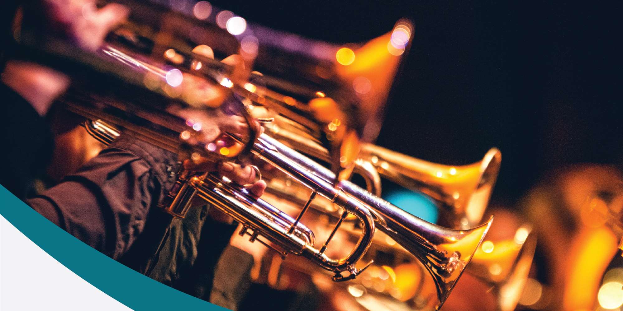 Star of the North Concert Band and Strusshamn Musikkforening