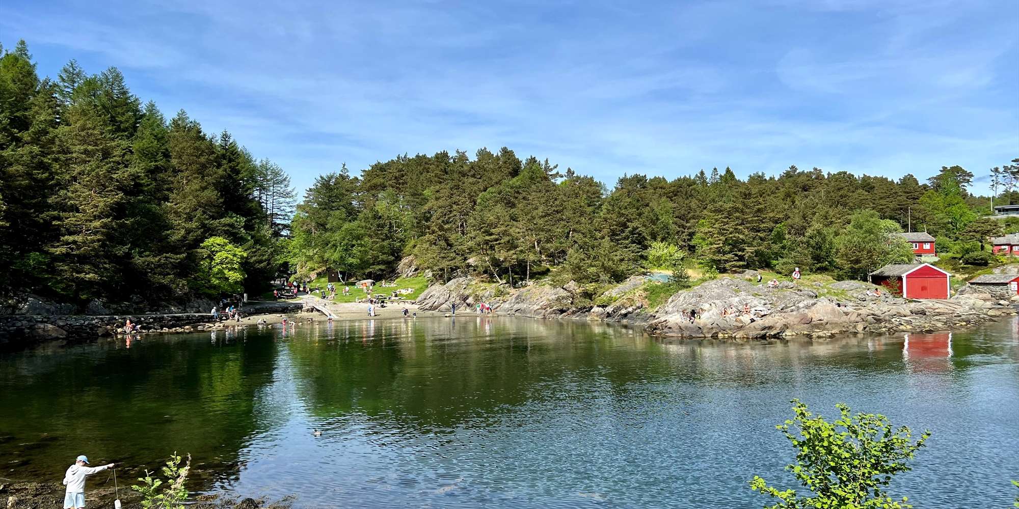 The arboretum and Bergen botanical garden
