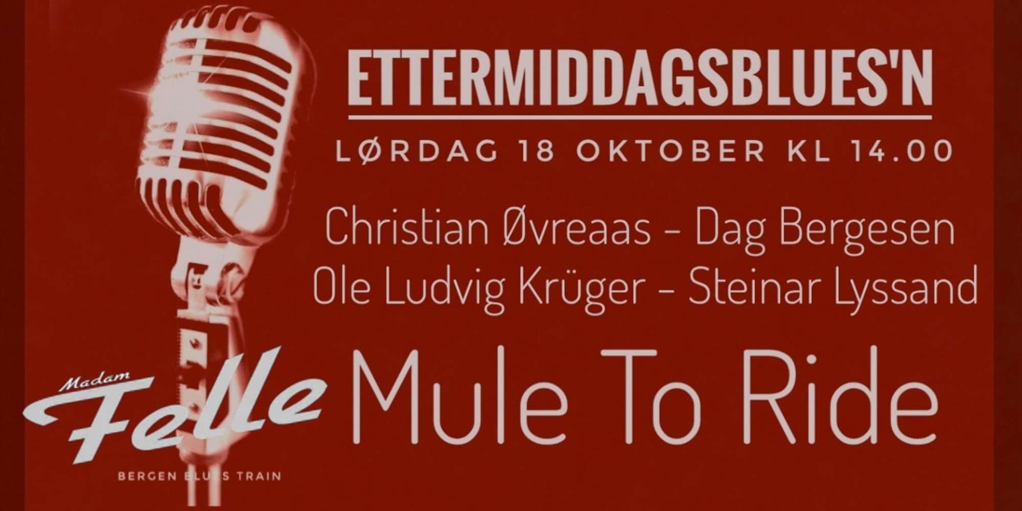 MULE TO RIDE