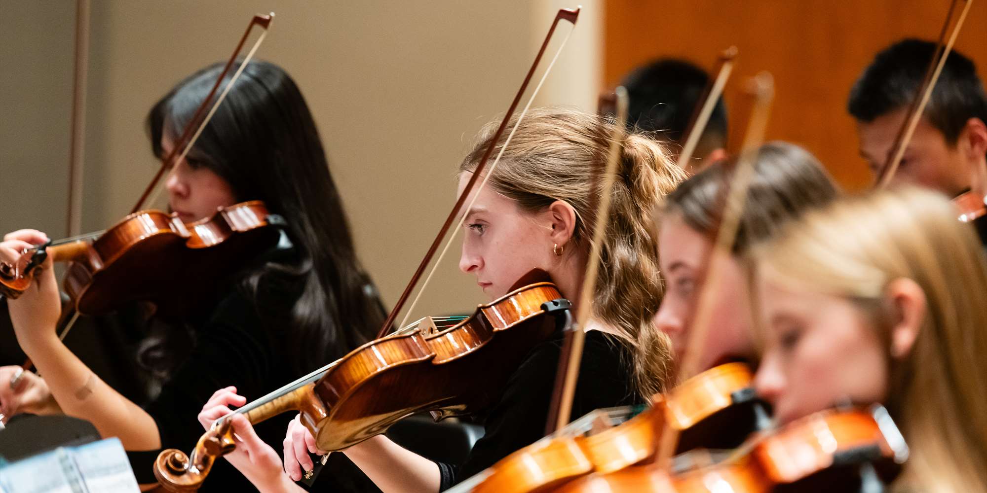 Waterford School Chamber Orchestra