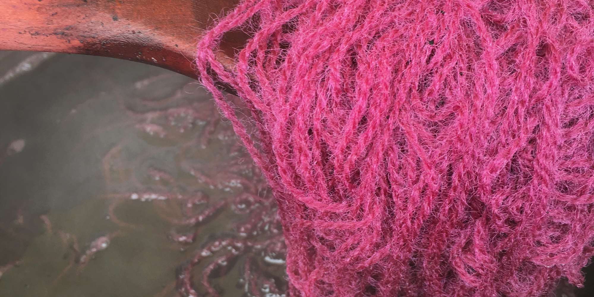 Plant dyeing