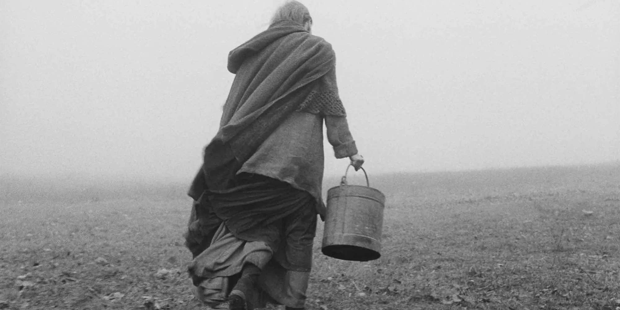 THE TURIN HORSE
