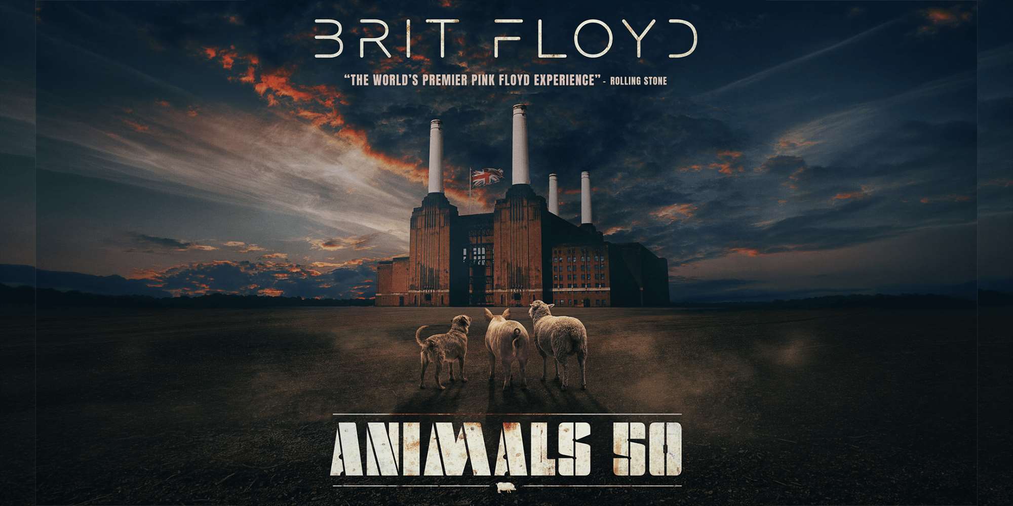 BRIT FLOYD – ANIMALS 50