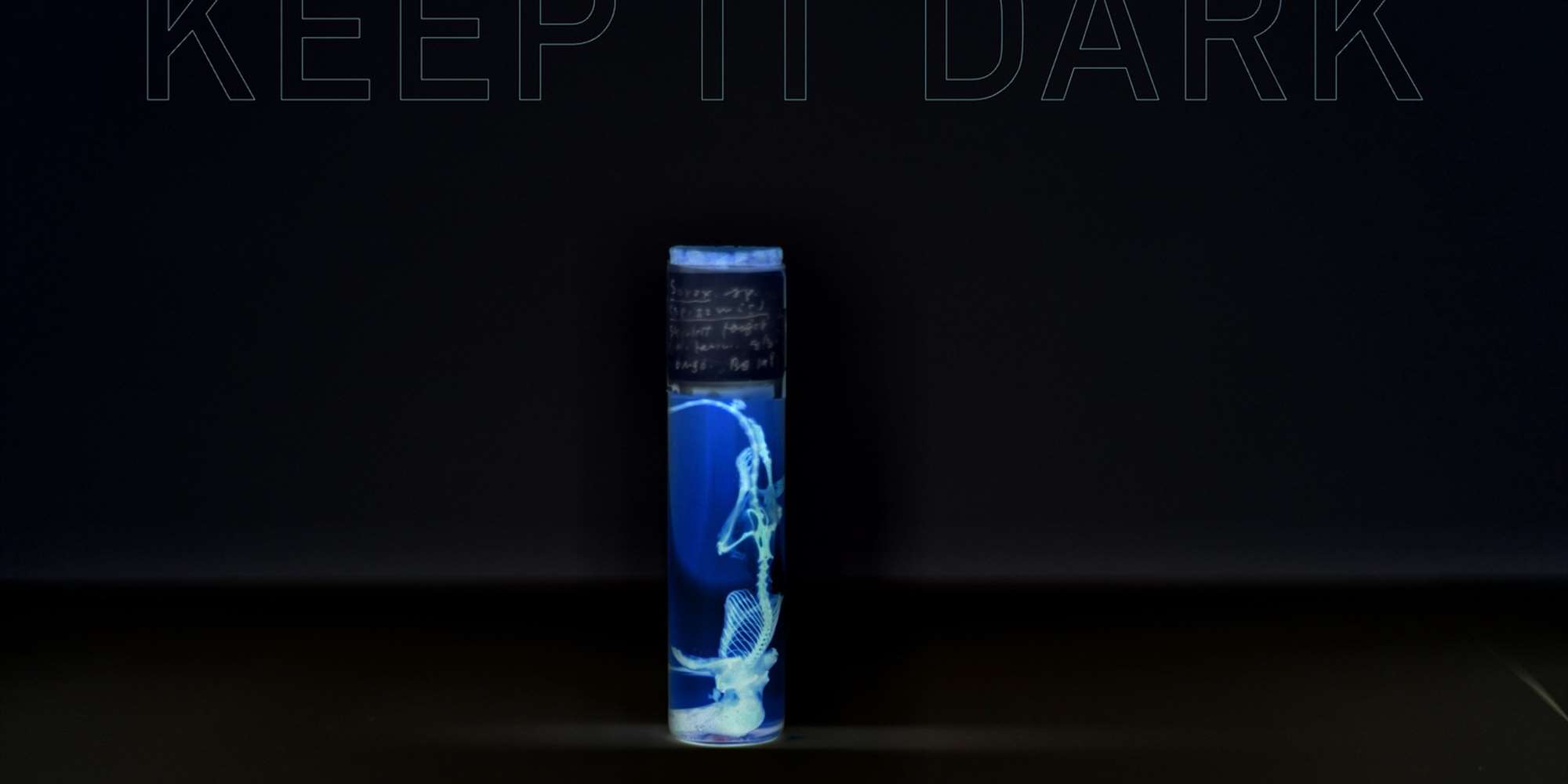 Keep It Dark