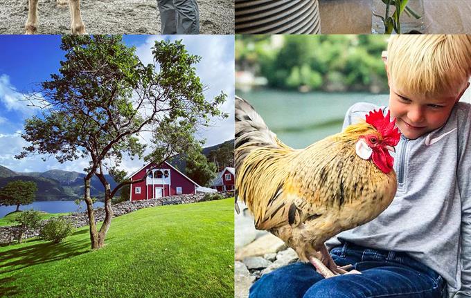 GÅRDSBESØK søndag 26. oktober kl. 11.00 - 13.00