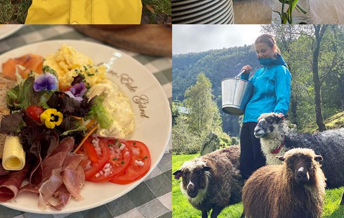 BARSELTREFF - og åpen kafé - på Øvre-Eide Gård – onsdag 28. mai kl. 11.00 - 13.00