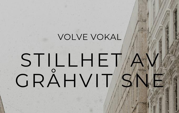 Christmas concert with Volve Vokal at 19:30