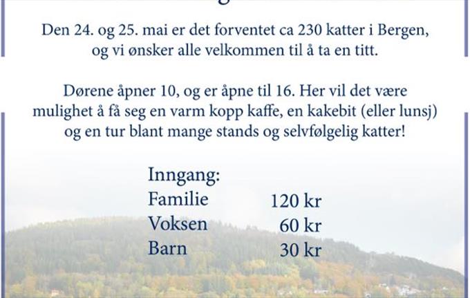 Internasjonal katteutstilling