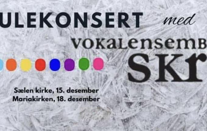 Christmas Concert with Vokalensemblet Skrik in St Mary's Church