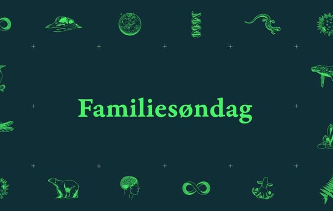 Familiesøndag - Botanikk