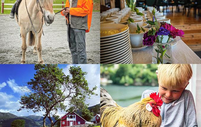GÅRDSBESØK søndag 12. oktober kl. 11.00 - 13.00