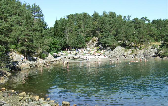 Grønevika beim Arboretum