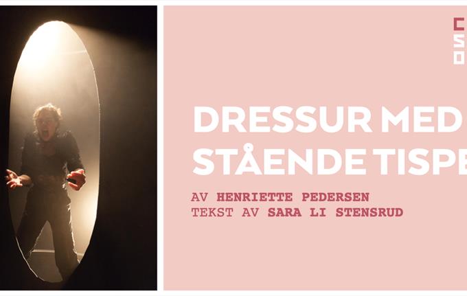 DRESSUR MED STÅENDE TISPE