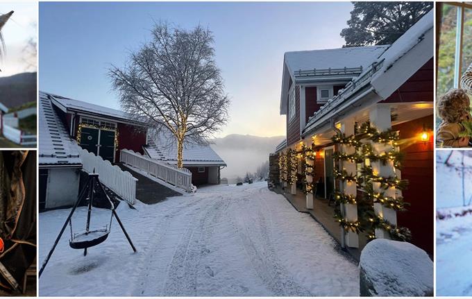 JULEGÅRDSBESØK, søndag 28. desember kl. 11.00 - 13.00