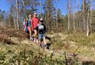 Guided mountain hike in Bergen including lunch