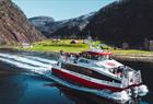 Half-day fjord cruise from Bergen to Mostraumen