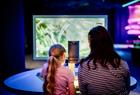 Bergen Science Centre VilVite