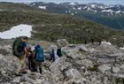 Guided glacier hiking