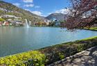 Bergen zu Fuß - Martins Stadtführung