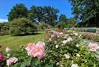 The arboretum and botanical garden