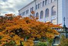 The Museums garden