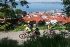 See Bergen from your bike