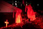 Halloween at Bergen Aquarium