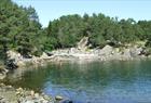 Grønevika beim Arboretum