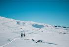 Trolltunga hike winter