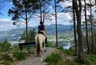 Unique riding tour in the mountains surrounding Bergen city centre